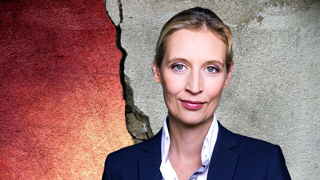 Der linksextreme Meinungsterror hat viele parlamentarische Arme